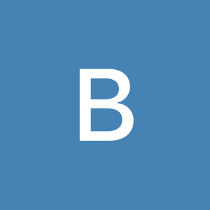 Group logo of Ballot Access Network